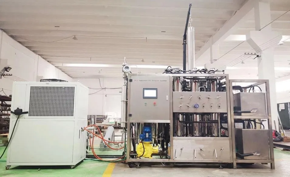 info-955-584 info-955-584